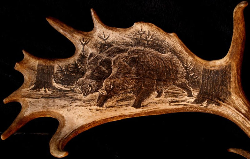 rytiny-538 Divočáci