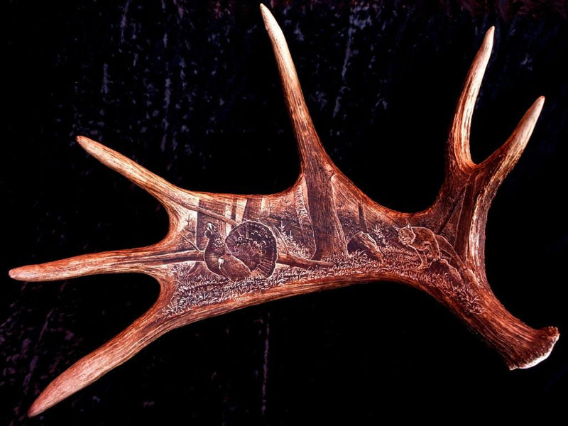 rytiny-607 Tetřev a rys