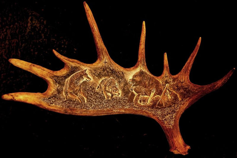 rytiny-572 Predátoři