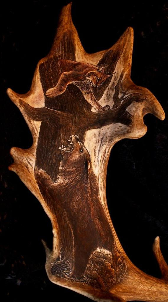 rytiny-550 Medvěd s rysem