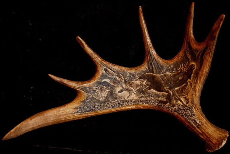 rytiny-534 los a vlci