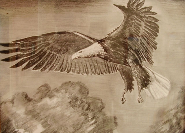 ostatní-Kresba orla