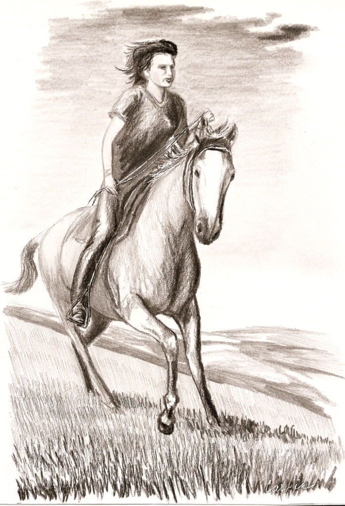 ostatní-kresby-koni (5)
