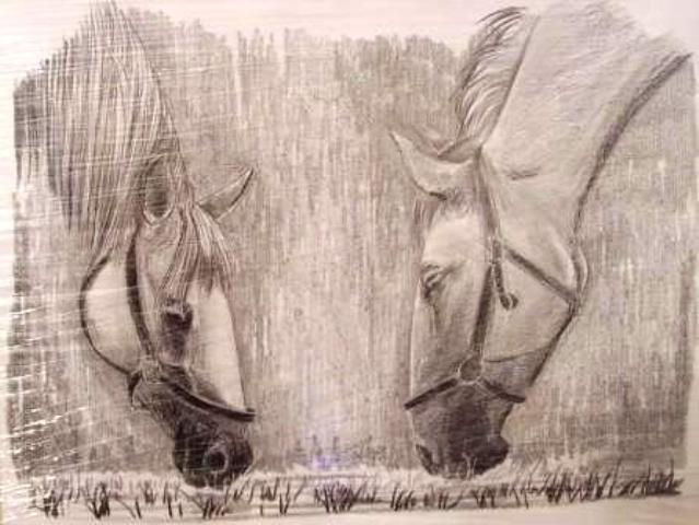 ostatní-kresby-koni (1)