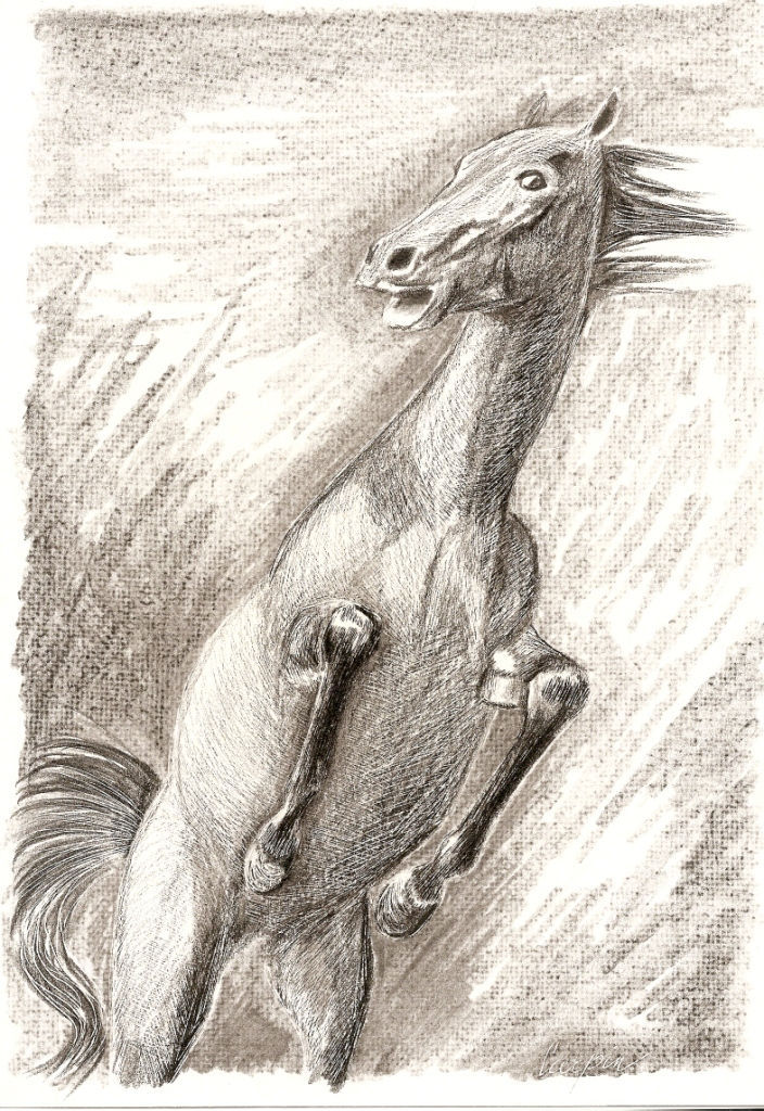 ostatní-kresby-koni (8)
