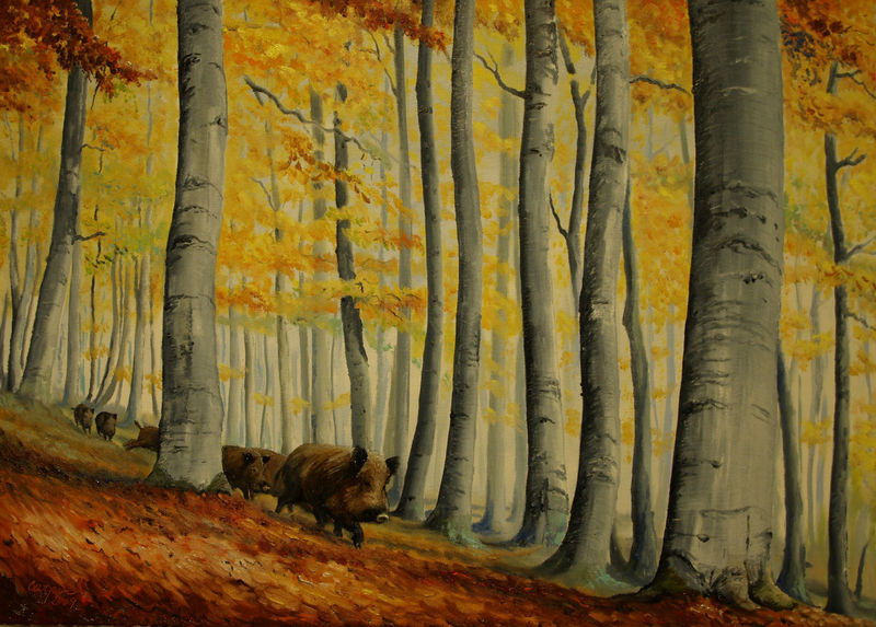 myslivost-Podzimním lesem