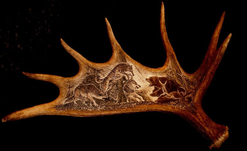 rytiny-472 Vlci s medvědem